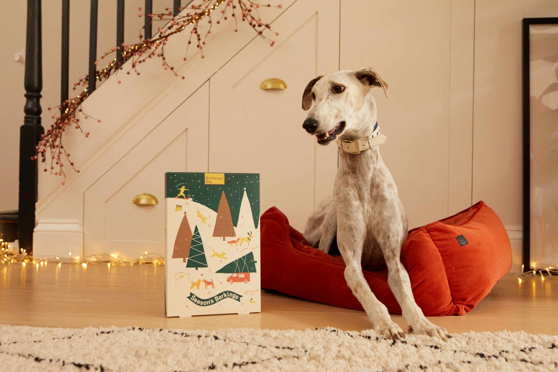 Exploring the Finest Dog Advent Calendars in the UK Advent Alley