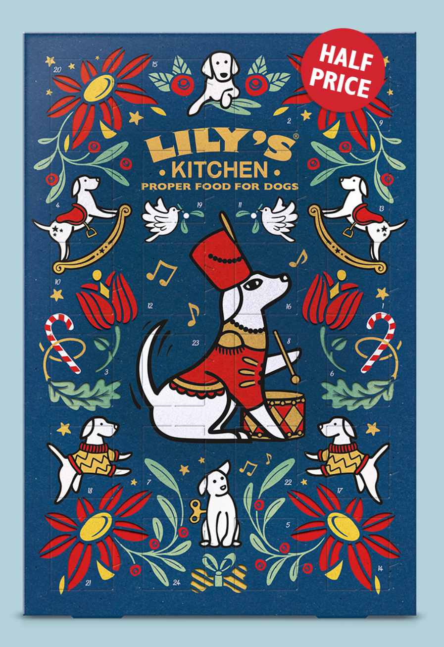 Lily's Kitchen Advent Calendar for Dogs Advent Alley