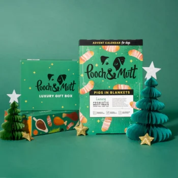 Pooch And Mutt Christmas Dog Bundle